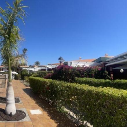 Bungalow Verdemar Maspalomas Maspalomas  Buitenkant foto